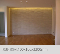 照明空间:100x100x3100mm
