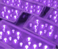 LED产品