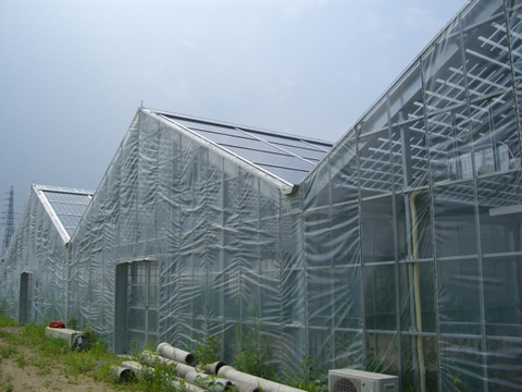 Solar Module