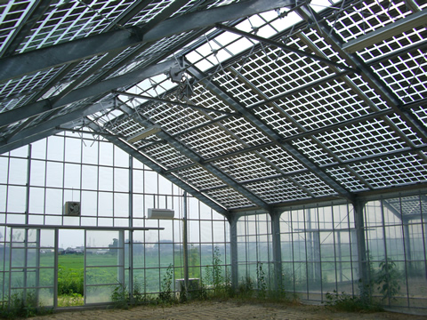 Solar Module